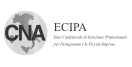 logo ECIPA
